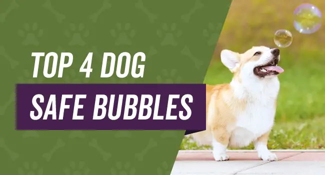 dog-safe-bubbles Top 4 Dog Safe Bubbles