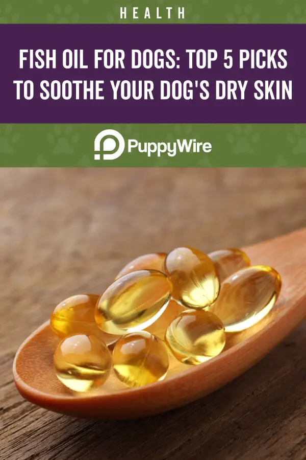 Best Fish Oil For Dogs