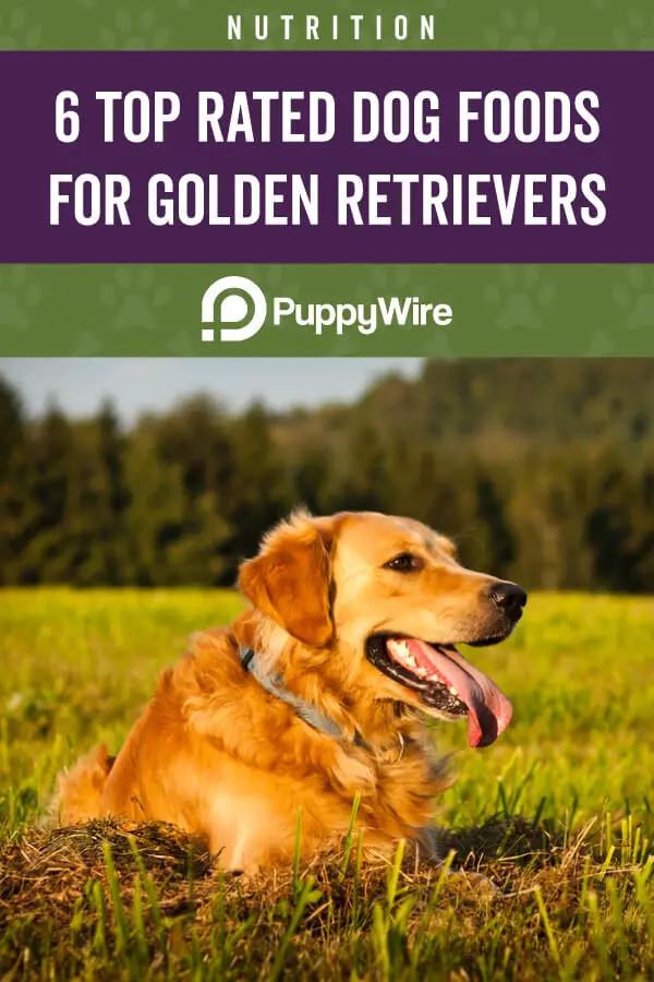 Best Dog Food for Golden Retrievers