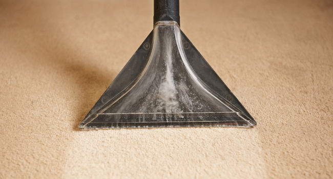 carpet-cleaner650 Carpet cleaner cleaning dirty pet stains from carpet
