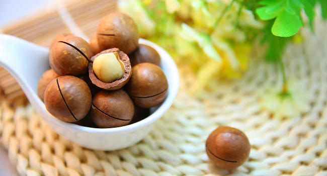 Macadamia Nuts