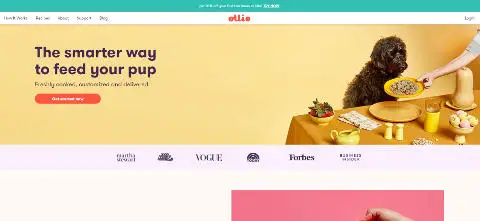Ollie homepage