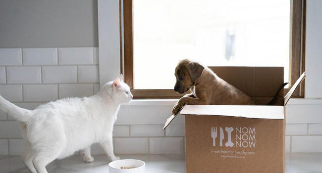 nomnomnow-dog-box650 NomNomNow dog food delivery service