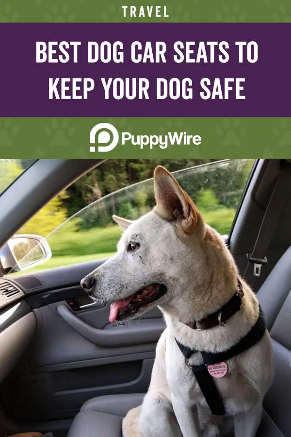 Best Dog Car Seats to Keep Your Dog Safe