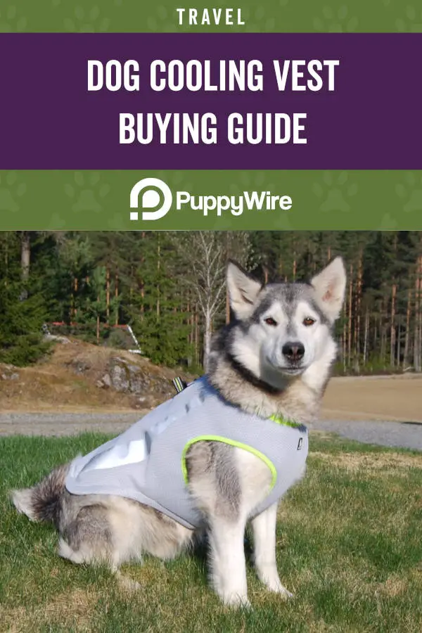 Dog Cooling Vest Buying Guide