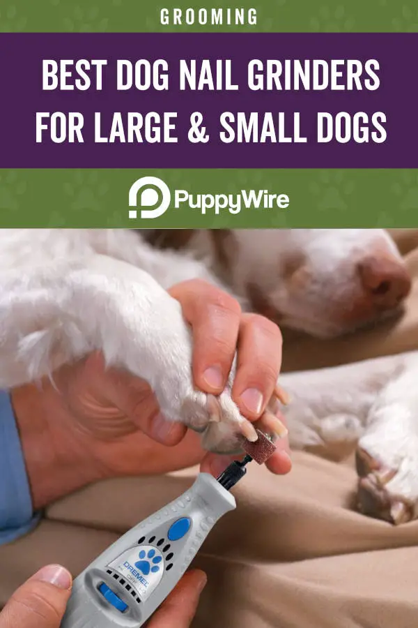 Best Dog Nail Grinders for Large & Small Dogs