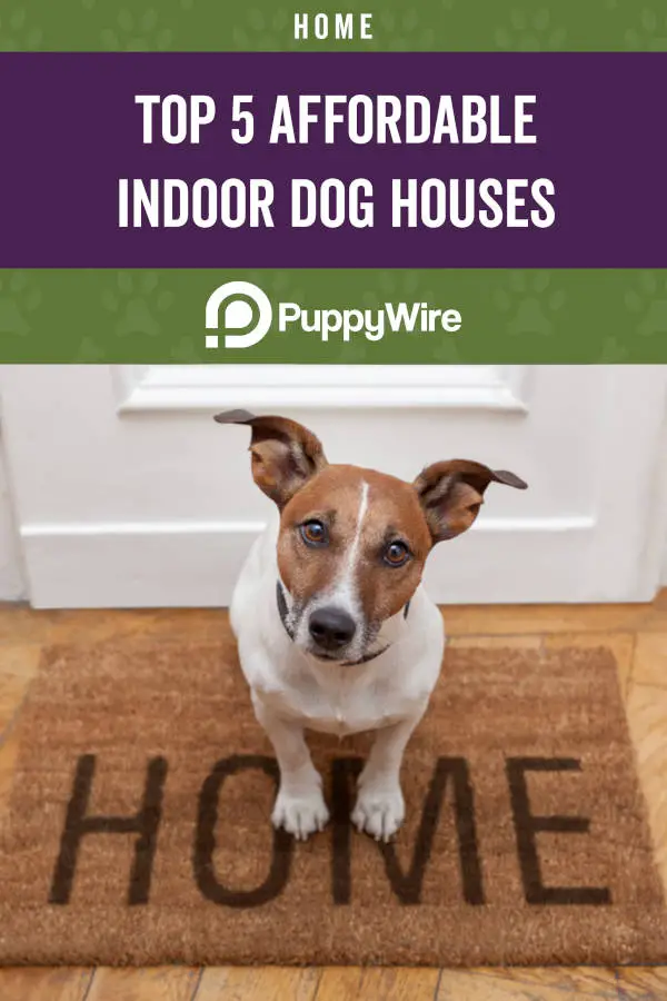 Top 5 Affordable Indoor Dog Houses