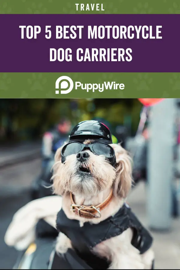 Top 5 Best Motorcycle Dog Carriers