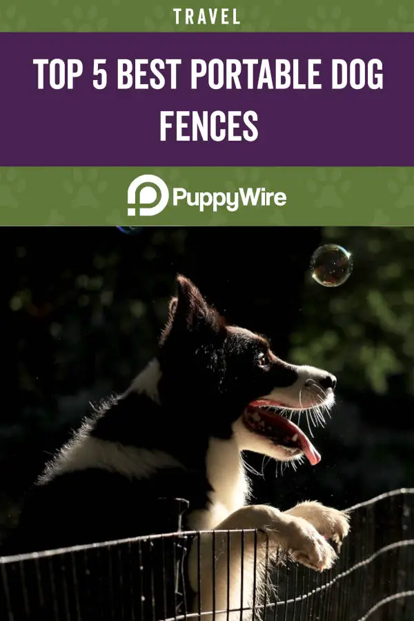 Top 5 Best Portable Dog Fences