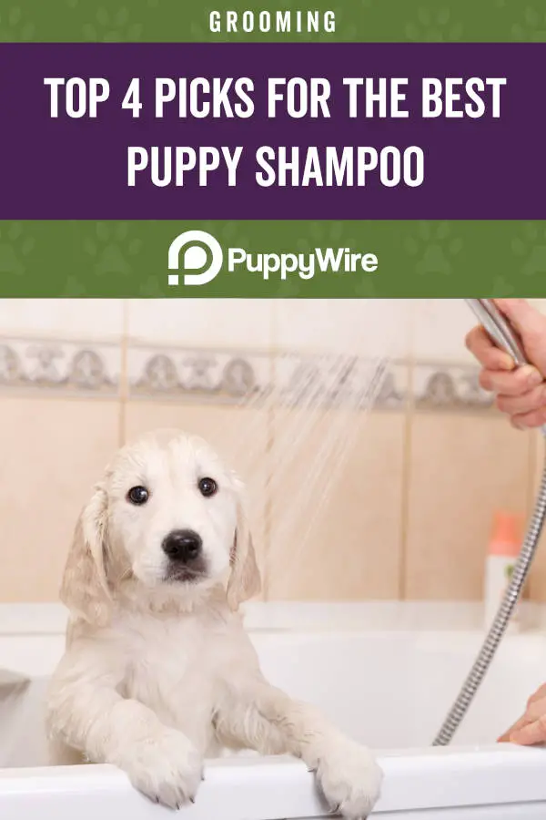 Top 4 Picks for the Best Puppy Shampoo