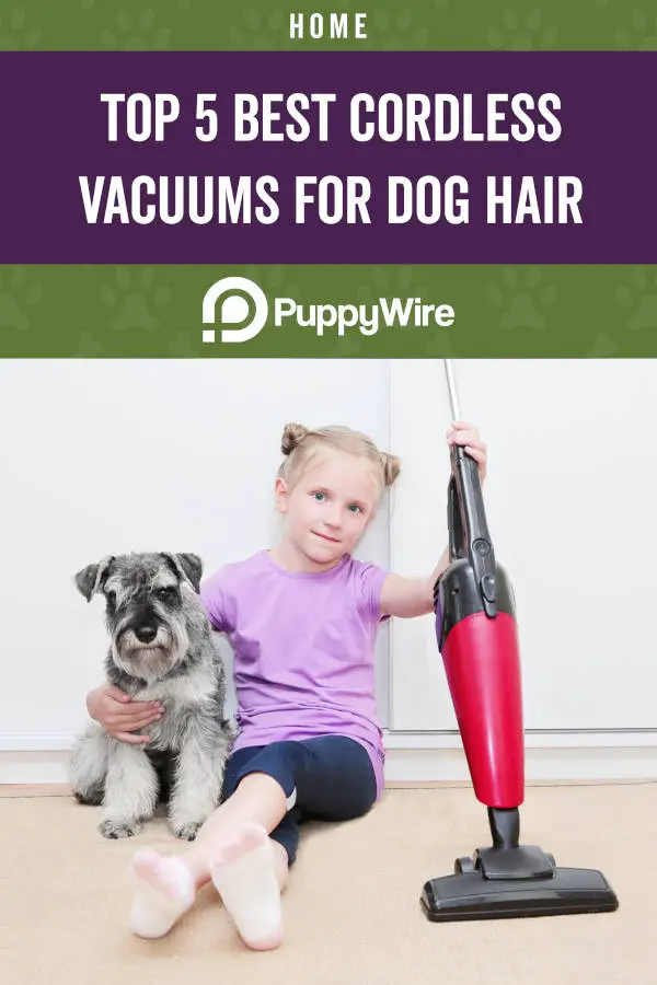 Top 5 Best Cordless Vacuums for Dog Hair