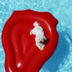 Maltese in pool sitting on a float