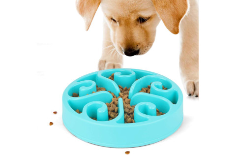 Jasgood slow feeder dog bowl