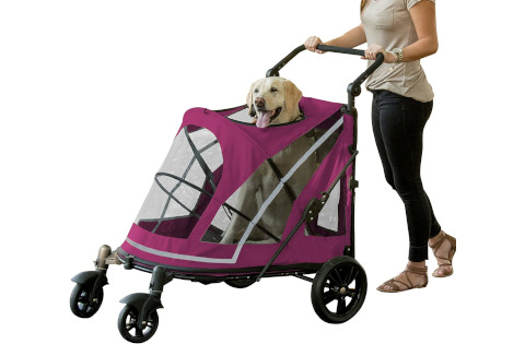pet-gear-expedition-boysenberry480 Pet Gear Expedition Stroller for Large Dogs